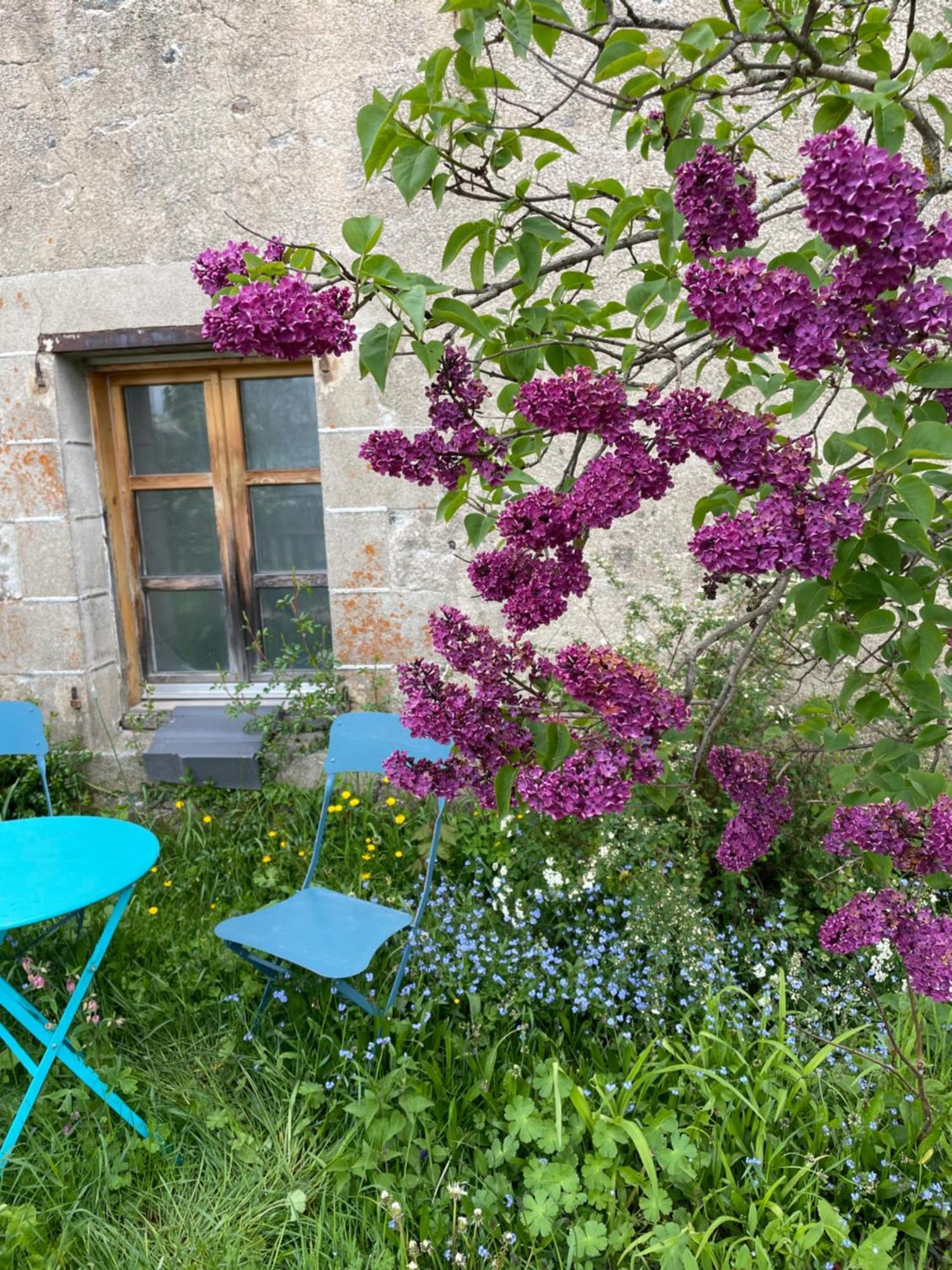 Chez Fabrice Bed and Breakfast Le Pertuis Buitenkant foto